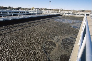 【干貨】泥齡導致的氨氮超標?那這種情況該如何處理呢?
