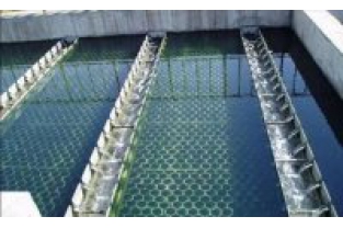 【干貨】生物濾池為什么一受沖擊氨氮去除率就會下降?